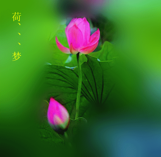 滴滴解封申诉成功等待账号动态,滴滴申诉成功后账号还在封禁状态_第1张 滴滴解封申诉成功等待账号动态,滴滴申诉成功后账号还在封禁状态_第1张